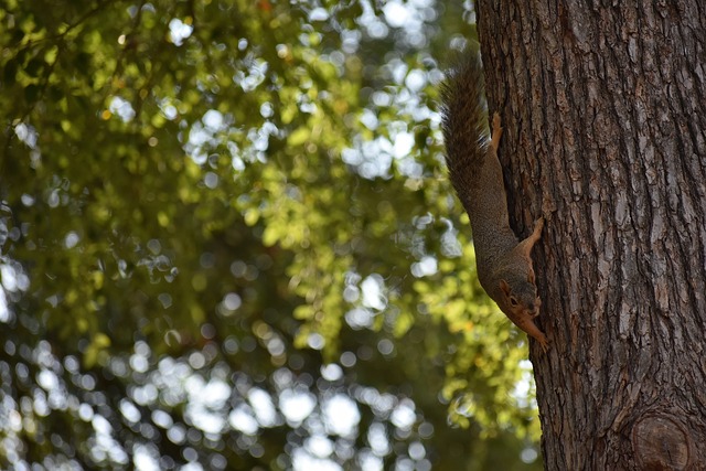 这一决定背 这一决定背