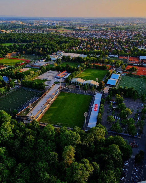 也再次证明 也再次证明