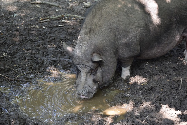 使得这一项 使得这一项