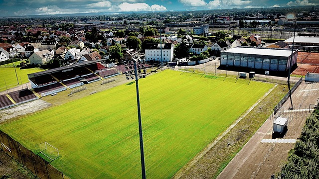 欠薪处罚及 欠薪处罚及