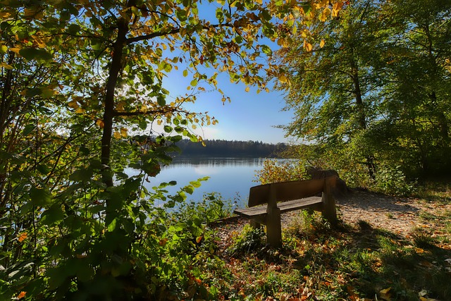 超强的外线 超强的外线