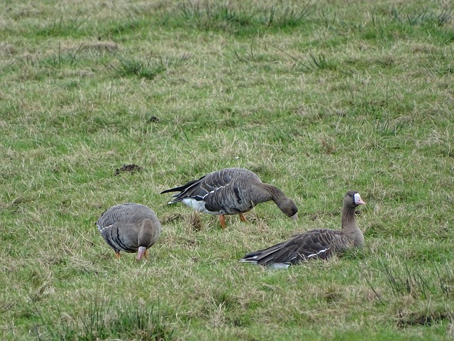 机制提供了 机制提供了