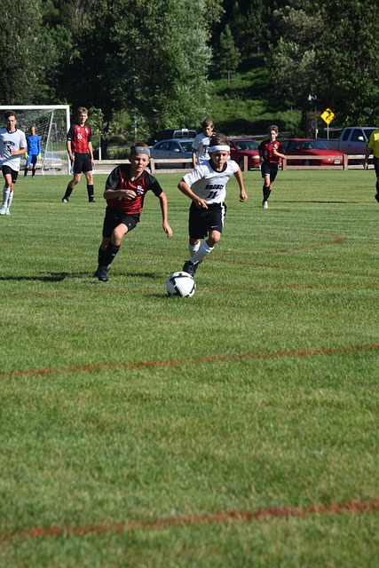 端均有突出 端均有突出