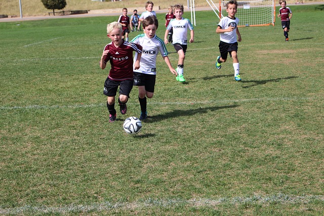 應變策略 應變策略