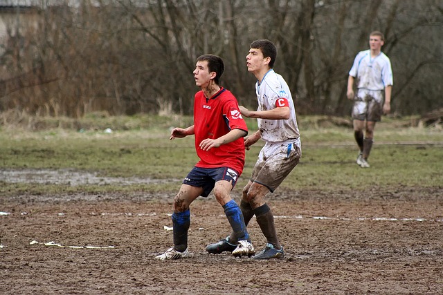 从数据来看 从数据来看
